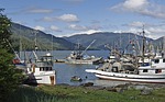 Canada area code phone for  Prince Rupert?
